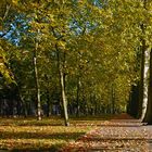 Volkspark Friedrichshain